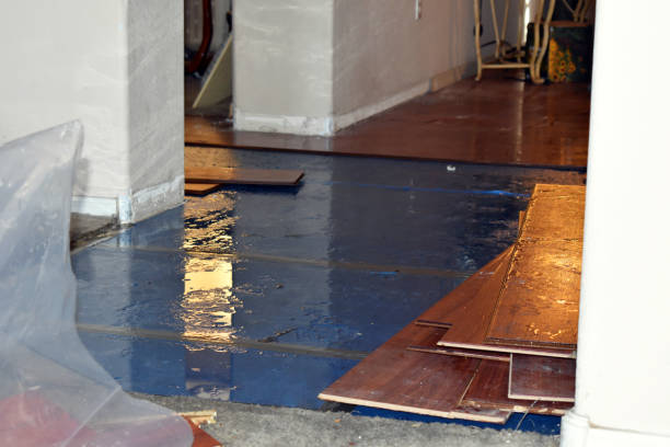 Professional Flood Damage Restoration technician working in Triangle, VA